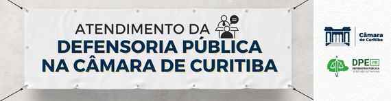 Defensoria menor capa