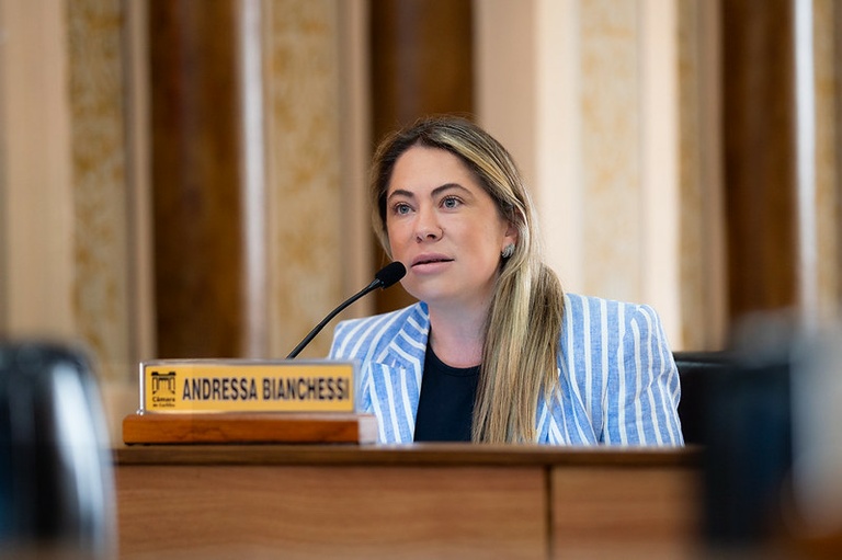 “Freio para Animais”: 3 cães atropelados por dia em Curitiba motivam campanha