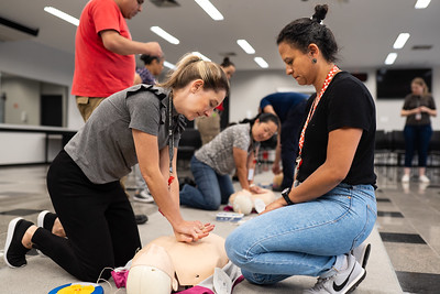 Treinamento brigadistas