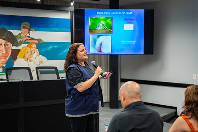 Palestra: combate à dengue