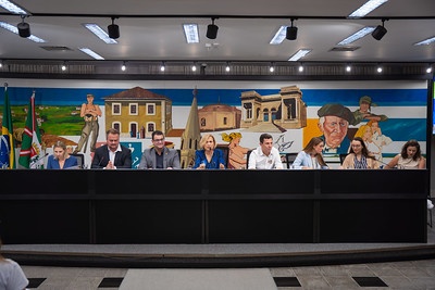 audiência pública mães atípicas