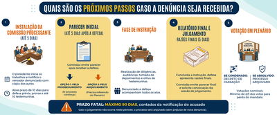 Entenda o fluxograma das comissões processantes