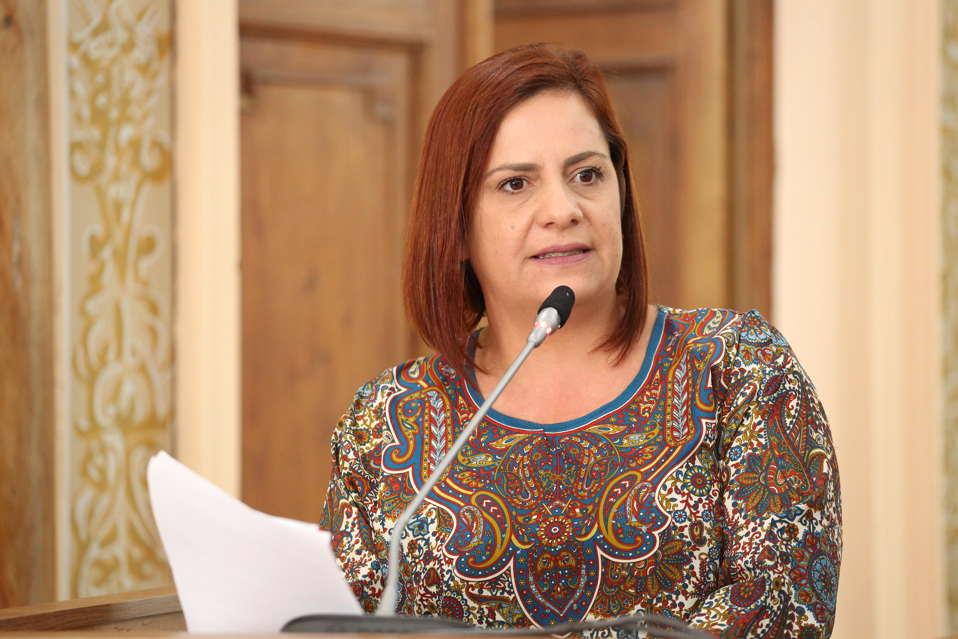 Acatada aposentadoria especial à Guarda Municipal e mais 2 sugestões