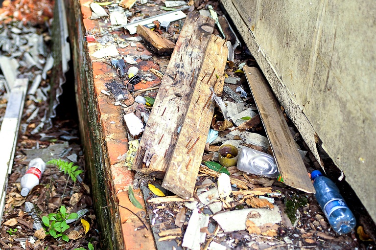 Ações emergenciais contra dengue na pauta de terça