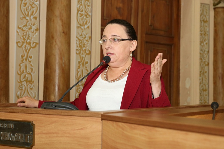 Adiada, eleição do ouvidor gera divergência em plenário