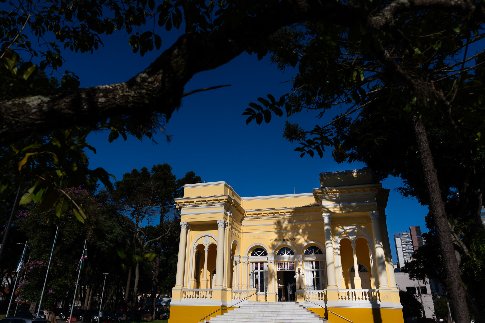 Agenda de 8 a 12 de junho: veja os eventos da Câmara de Curitiba