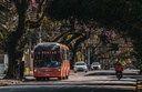 Comissão Especial do Transporte promove primeira reunião