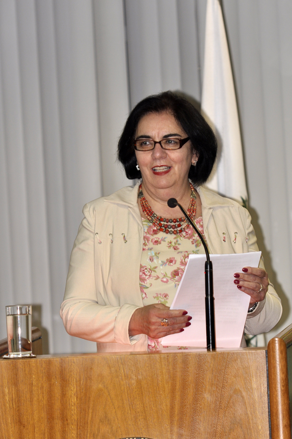 Amigos do HC recebem homenagem na Câmara 