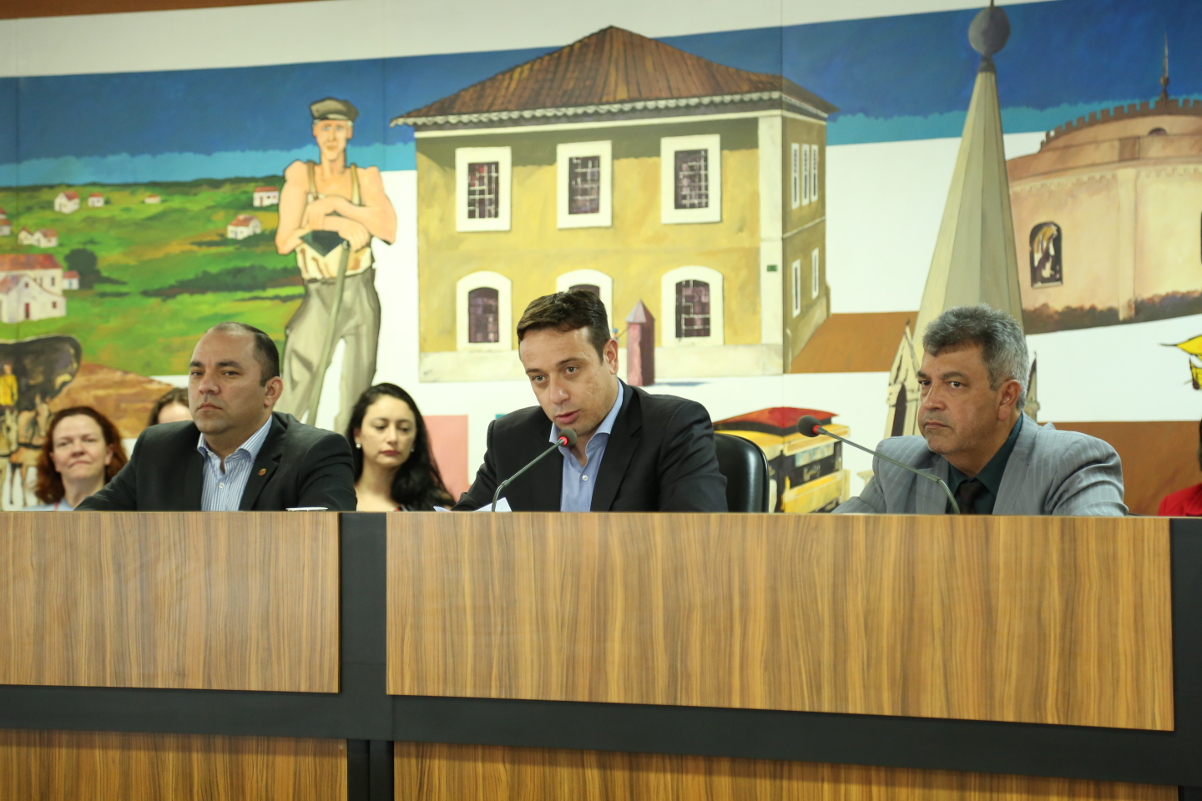 Antes de notificar vereadora, Comissão analisa atas com oitivas