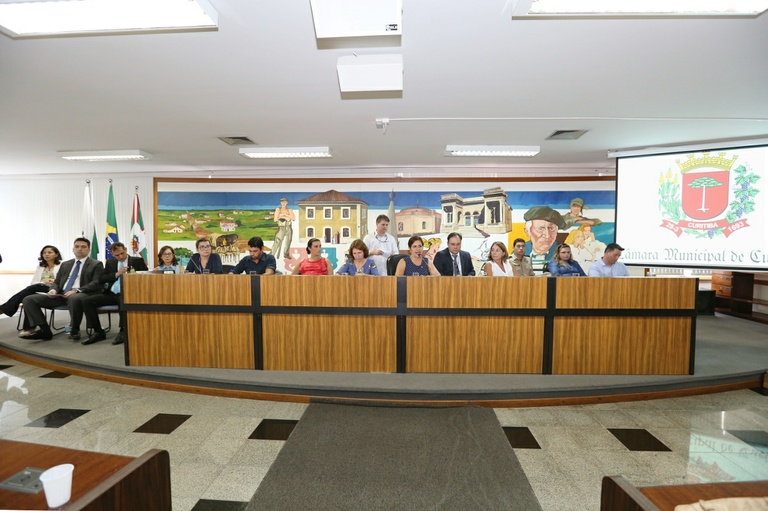 Após reunião, projeto que proíbe fogos de artifício pode ser modificado