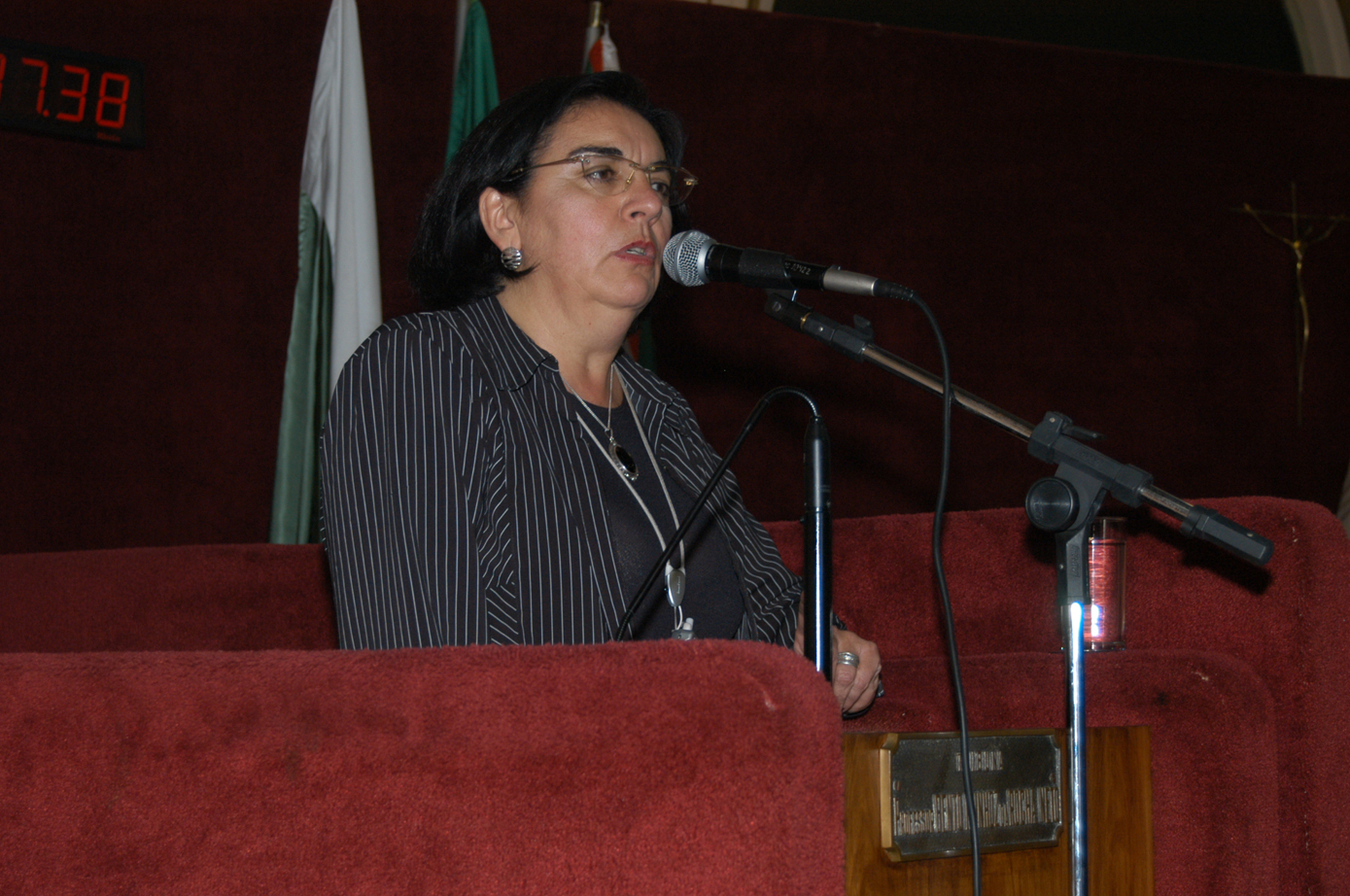 Aprovada homenagem à imigração japonesa 