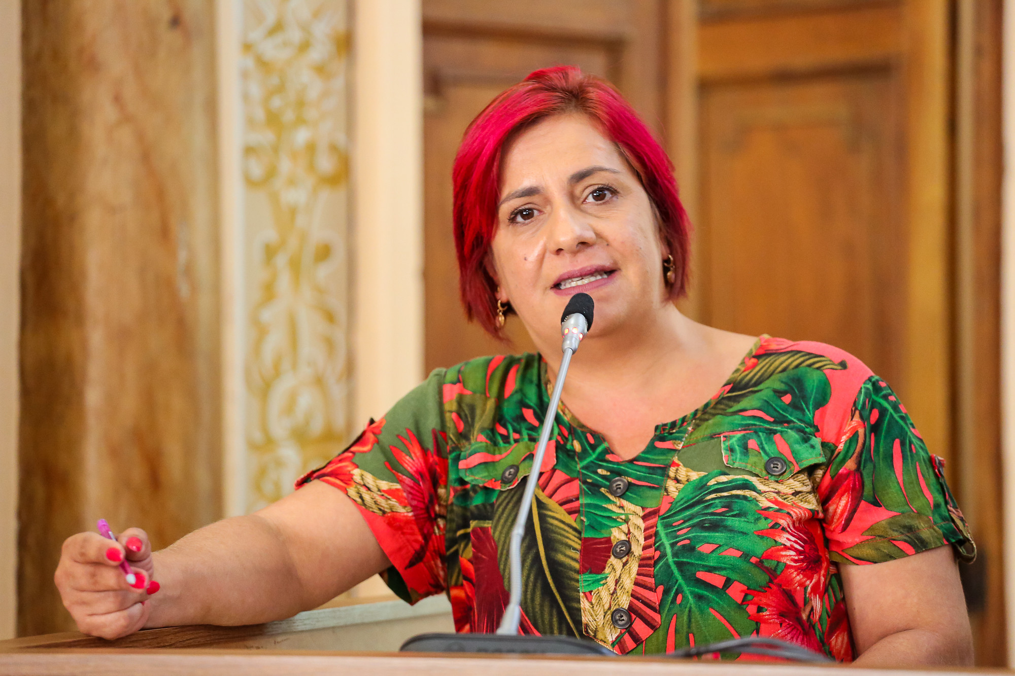 Aprovadas sugestões para atendimento veterinário e instalação de equipamentos