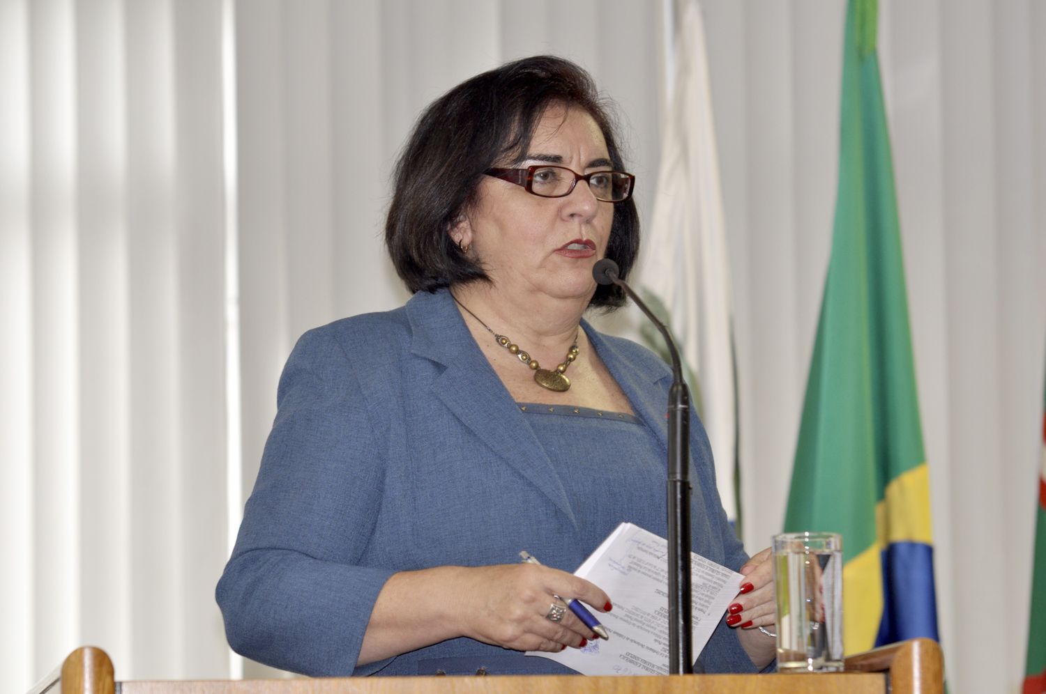 Aprovado nome de Nely Almeida para Cmei do Prado Velho  