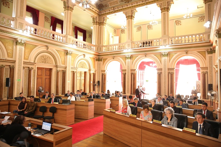 Aprovado plantio de erva-mate e mais 2 sugestões ao Executivo