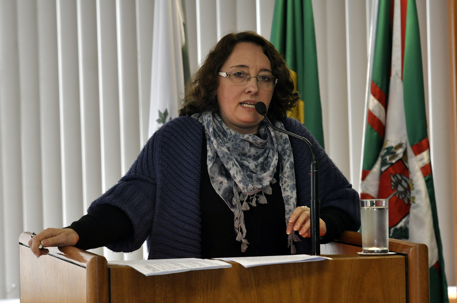 Aprovado projeto da LDO 2013 com duas emendas 