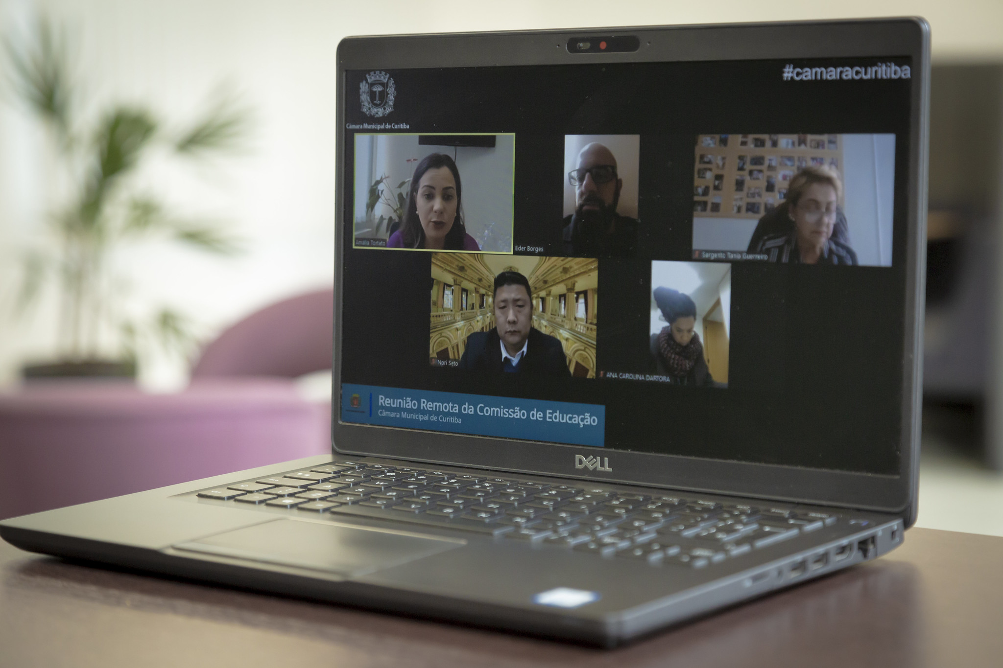 Apta ao plenário política de valorização da língua portuguesa 