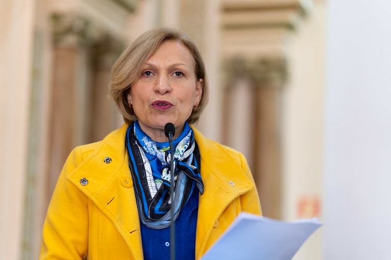 Associação de Kung Fu Shaolin do Norte terá Utilidade Pública de Curitiba