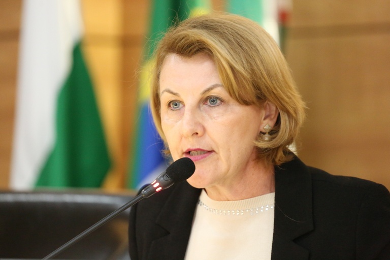 Audiência da Saúde: gestão de UPAs é tema mais debatido