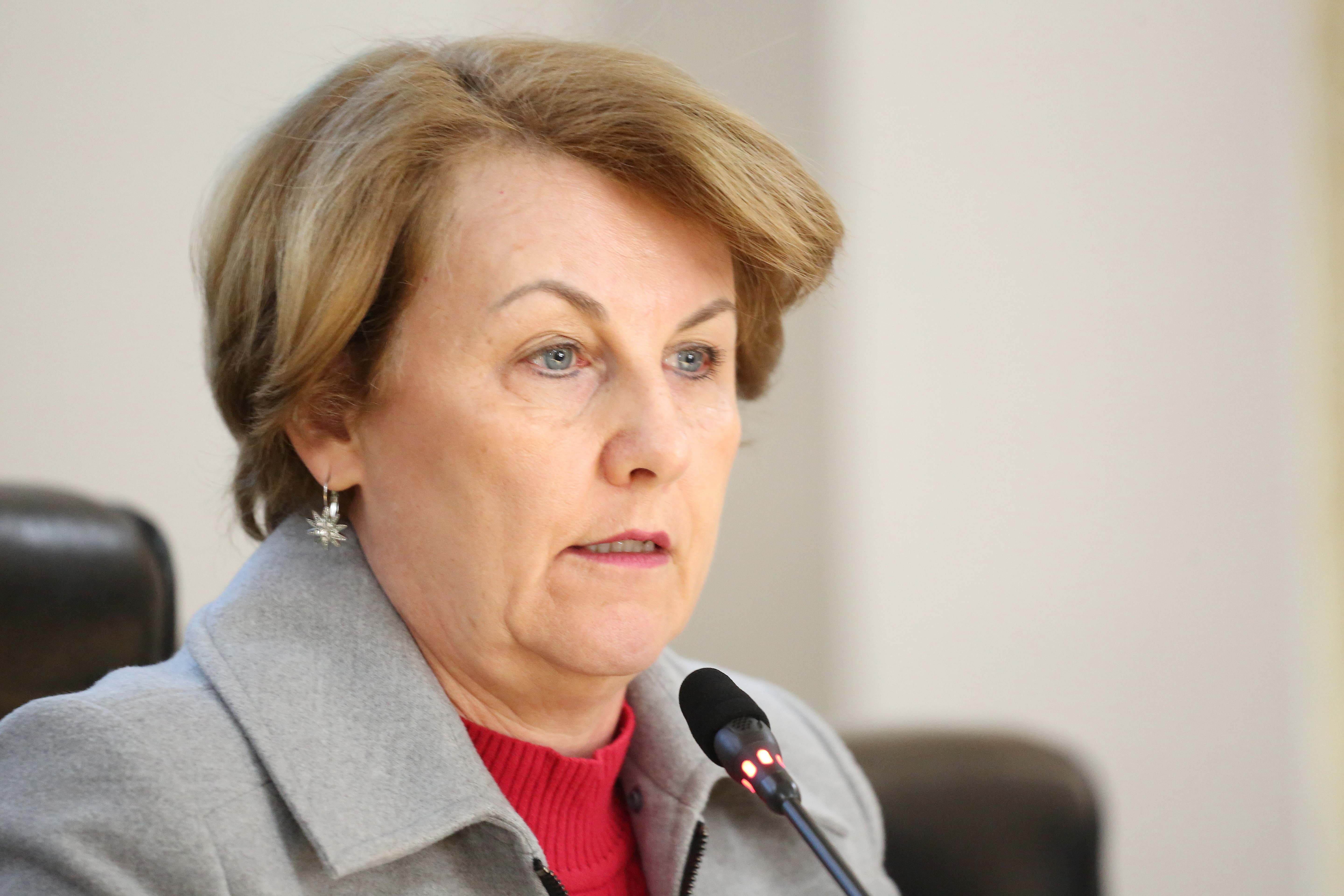 Audiência da Saúde: vereadores questionam Feaes e UPAs