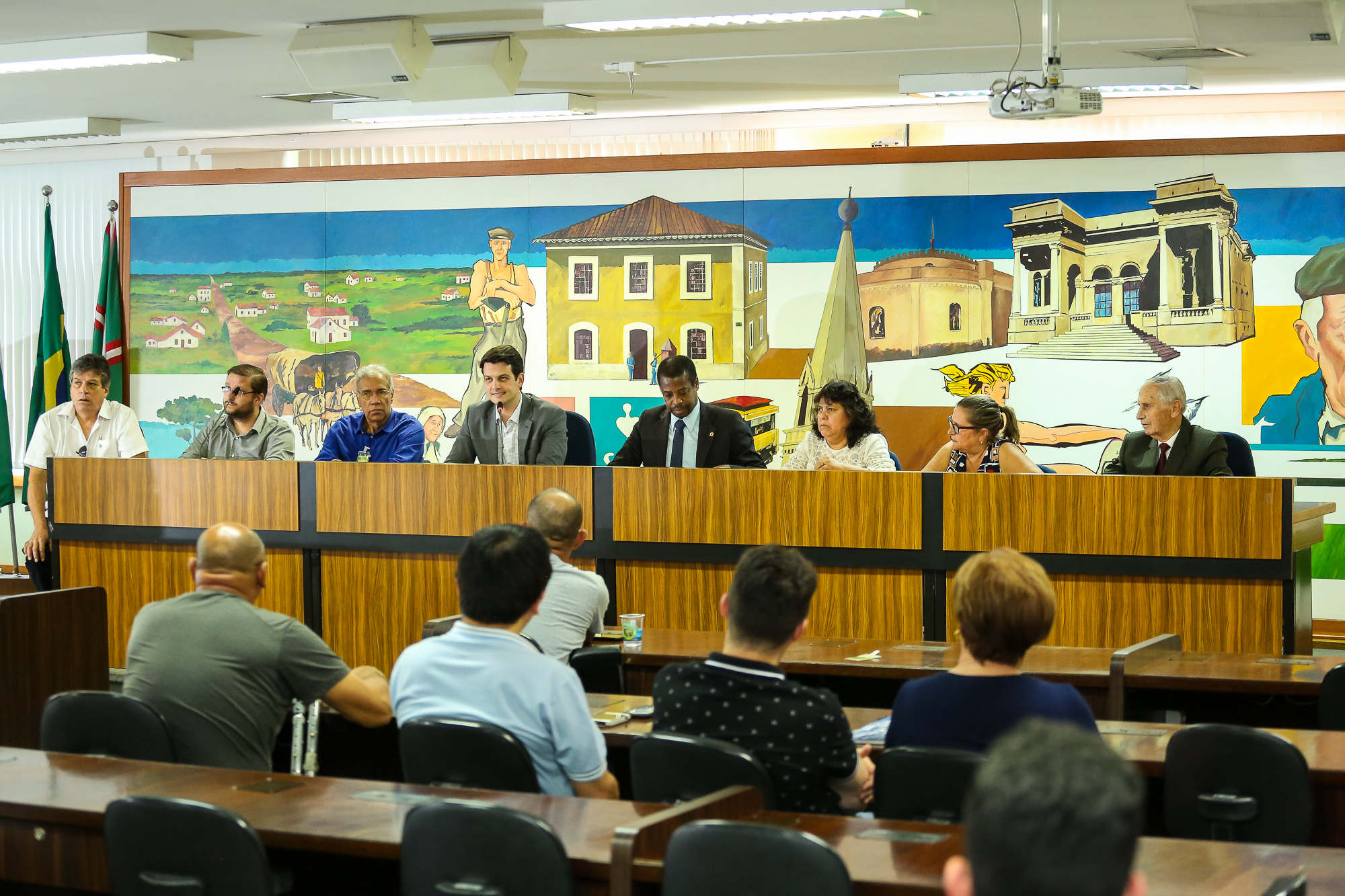 Audiência enfatiza importância da acessibilidade atitudinal em Curitiba