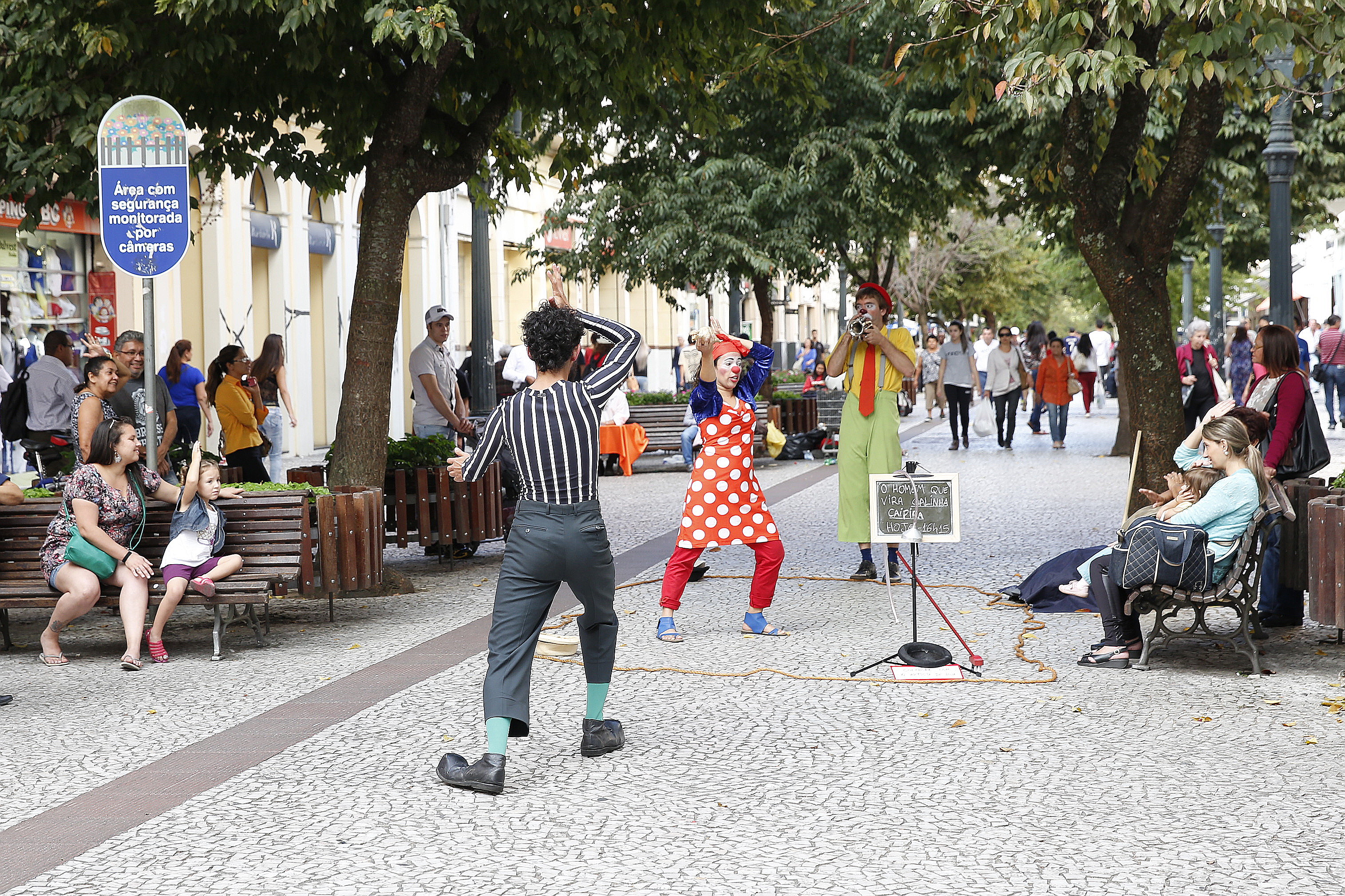 Audiência na CMC debate auxílio emergencial a setor cultural