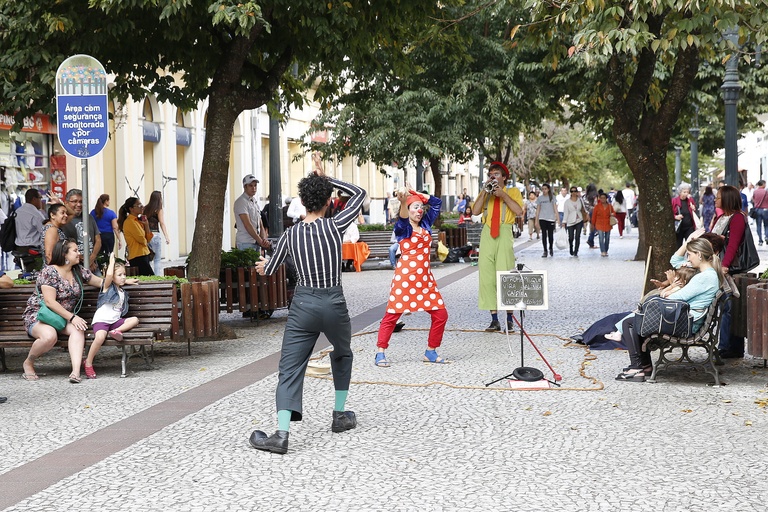 Audiência na CMC debate auxílio emergencial a setor cultural