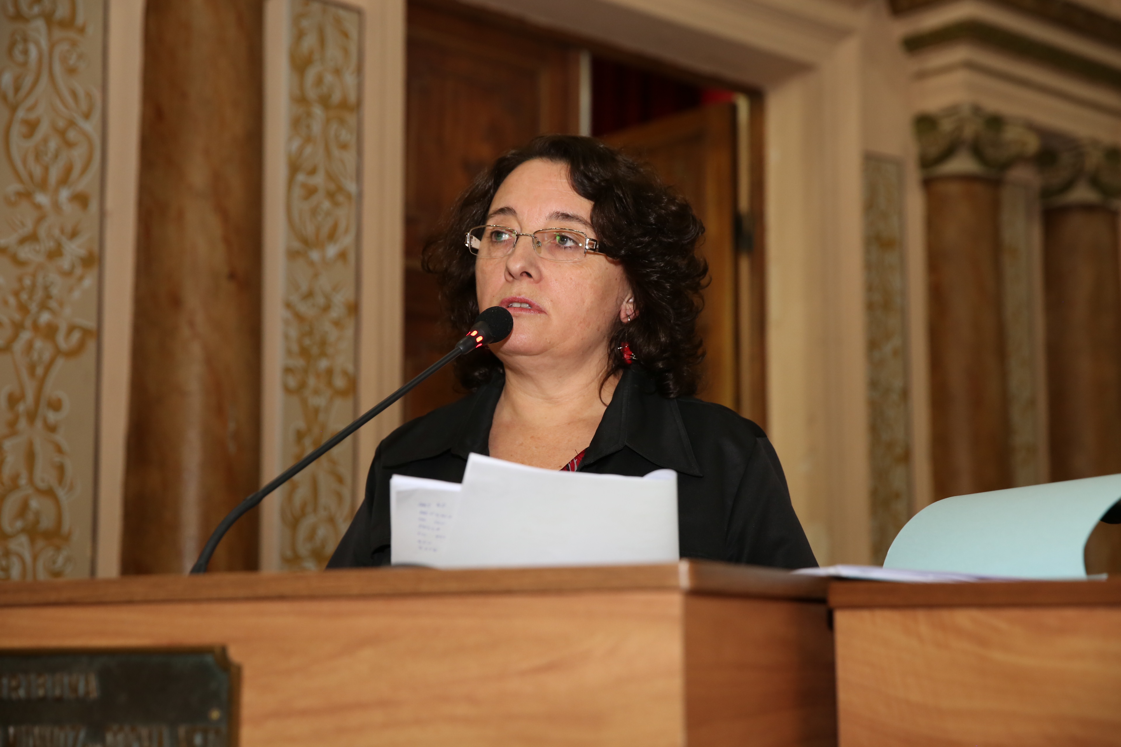 Audiência pública debate redução da maioridade penal