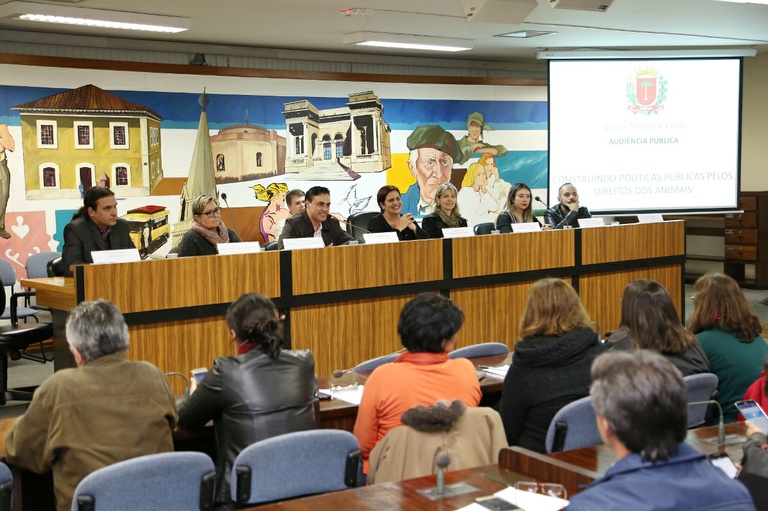 Cães comunitários continuarão nos terminais, garante Meio Ambiente