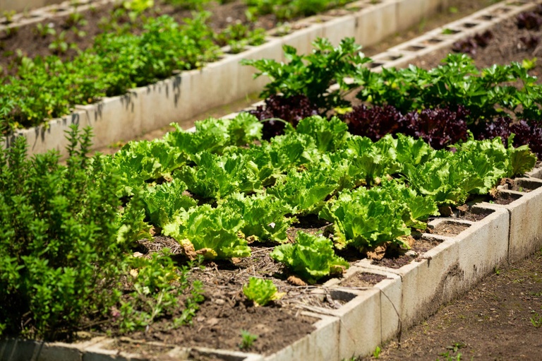 Câmara aprova “super” Fundo de Abastecimento Alimentar