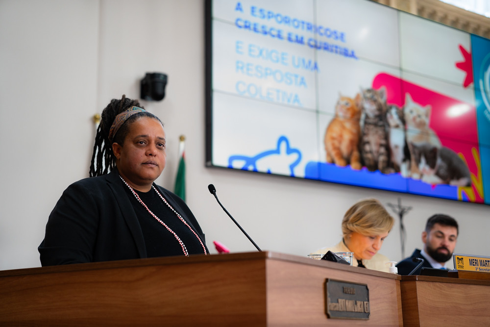 Câmara aprova campanha permanente contra esporotricose animal