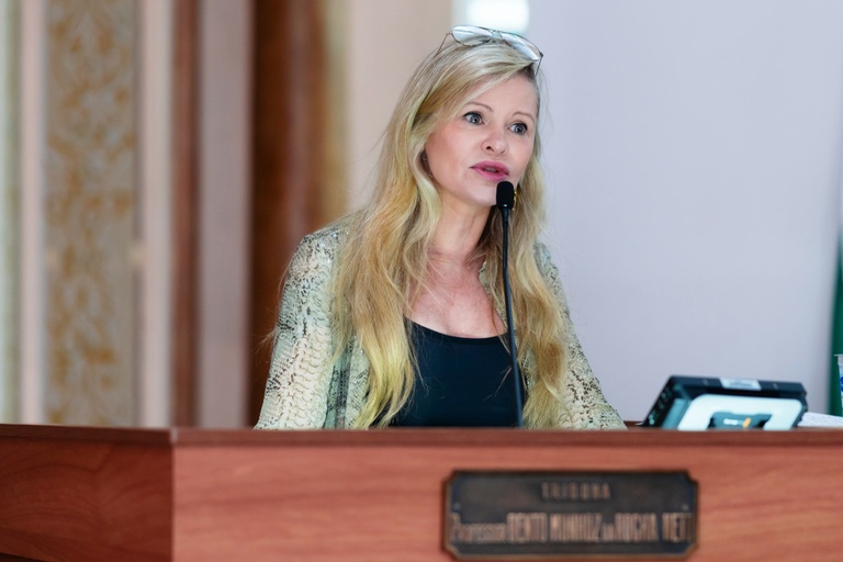 Câmara aprova envio de alertas de desaparecidos por celular em Curitiba