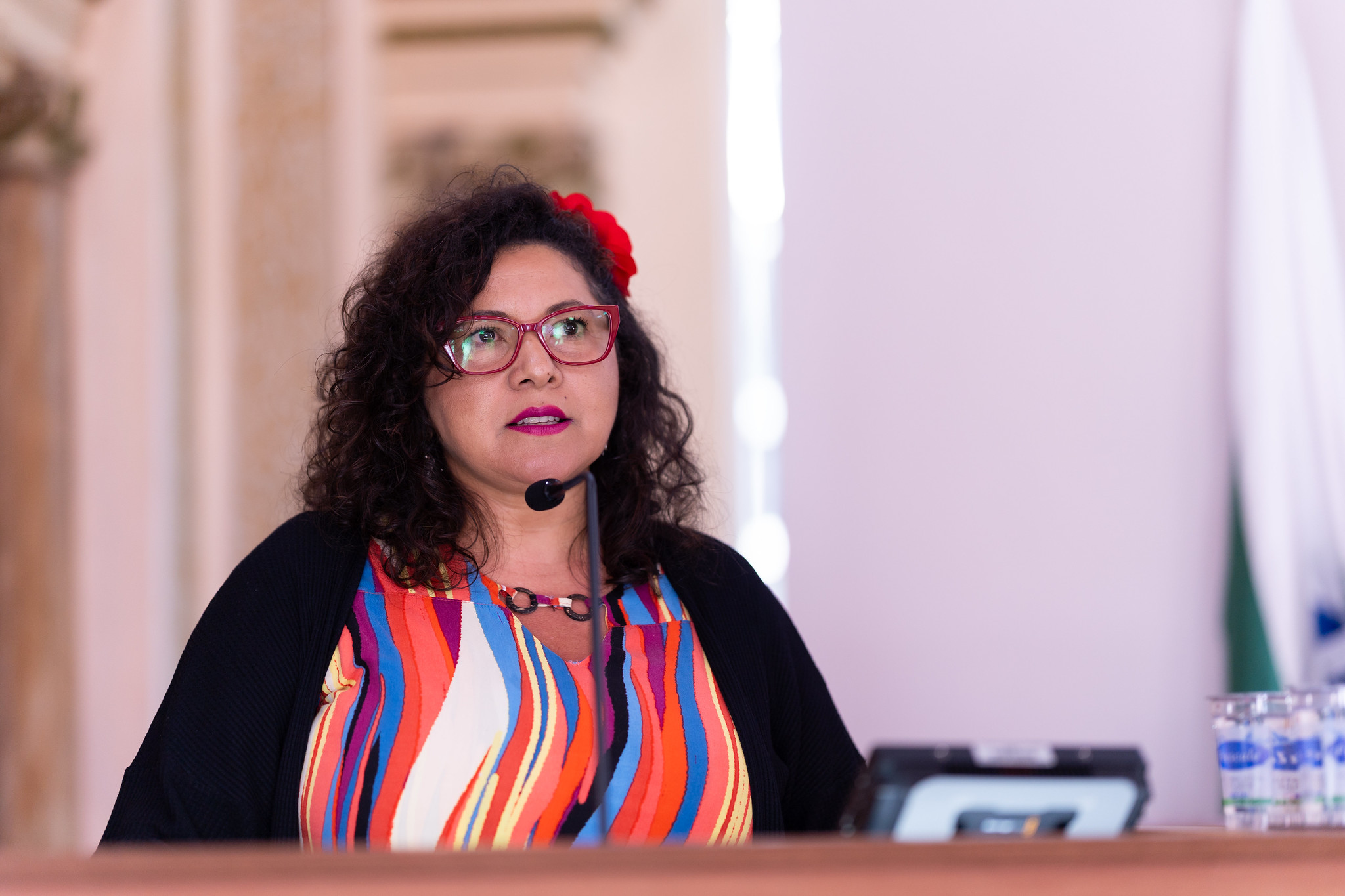 Câmara confirma mudanças no Conselho Municipal dos Direitos das Mulheres