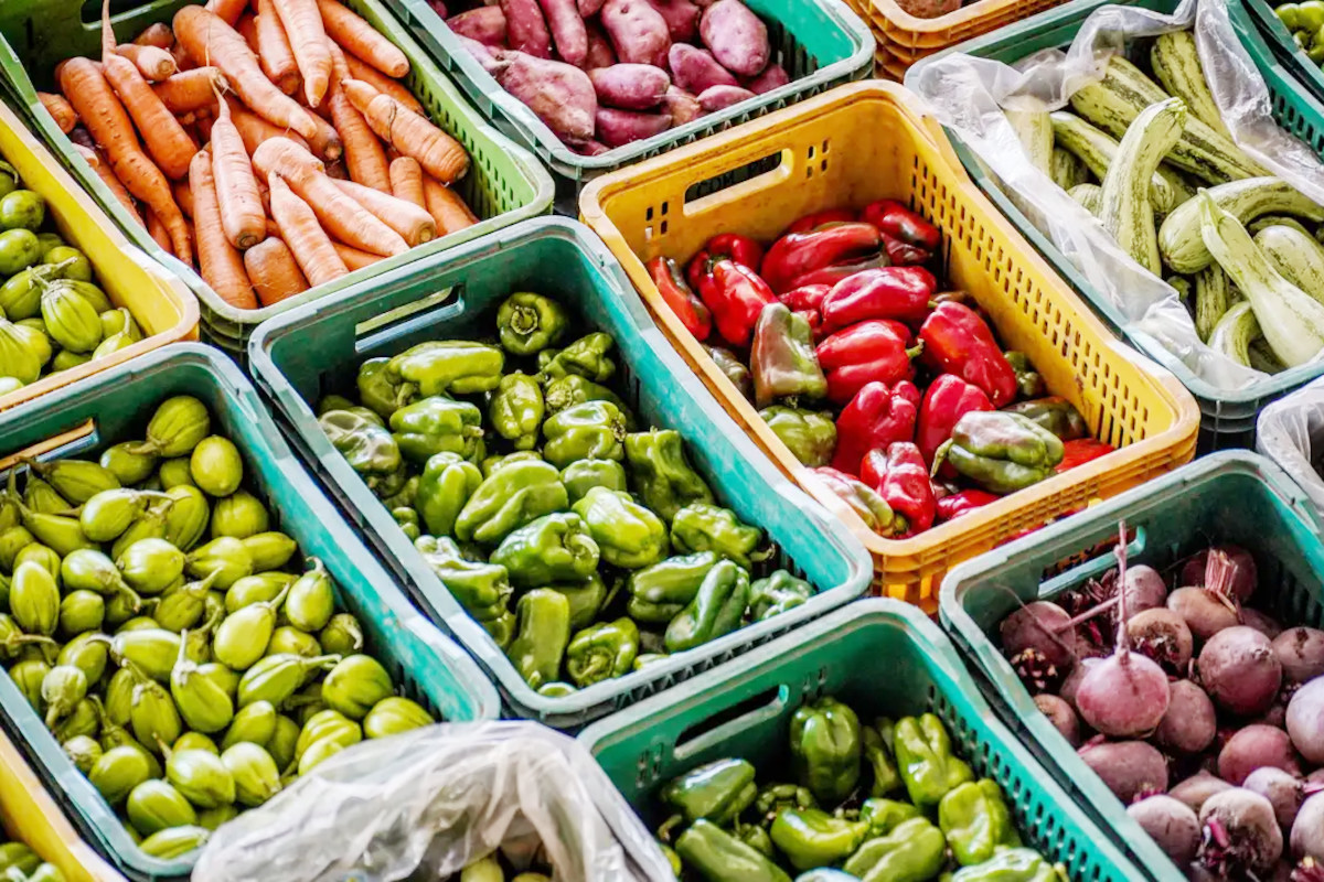 Câmara de Curitiba analisa política de higienização de alimentos