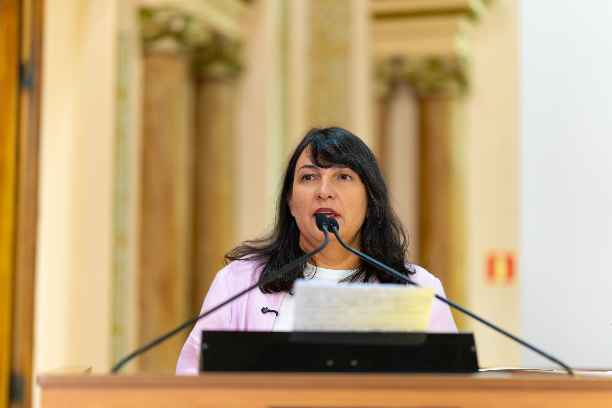 Corregedoria arquiva representação contra Professora Angela