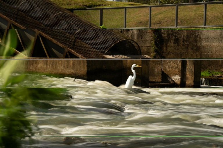 Câmara de Curitiba convoca sessão extra, nesta quinta, para votar Lei do Clima