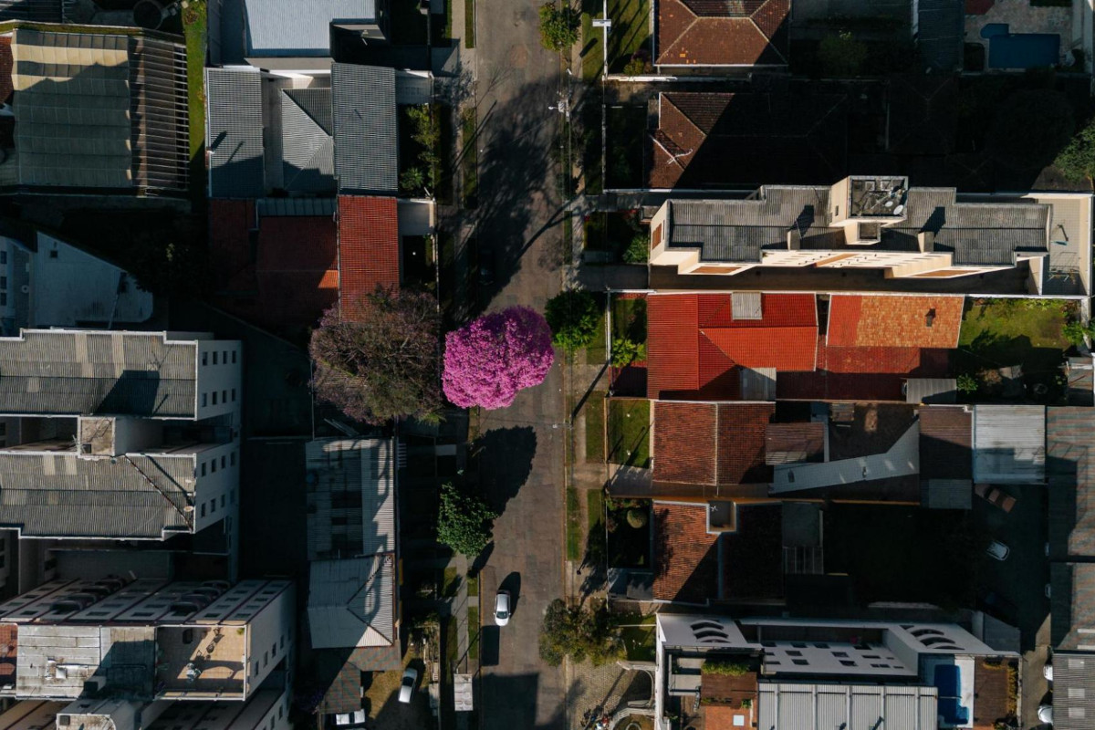 Câmara de Curitiba encerra 2025 votando Lei do Clima na terça e quarta-feira