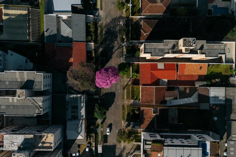 Câmara de Curitiba encerra 2025 votando Lei do Clima na terça e quarta-feira