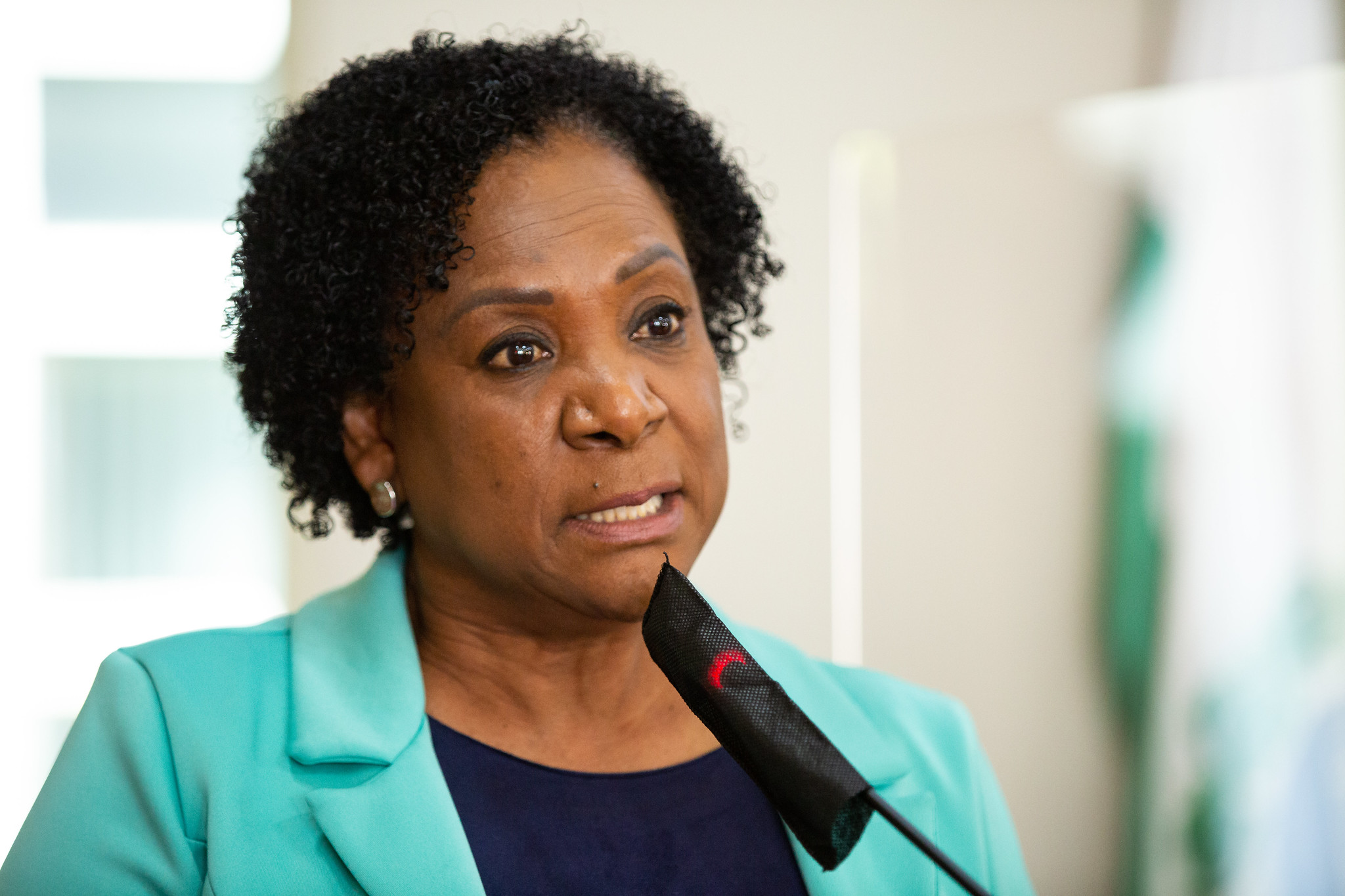 Câmara homenageia Dulcinéia Novaes pelos 40 anos de jornalismo