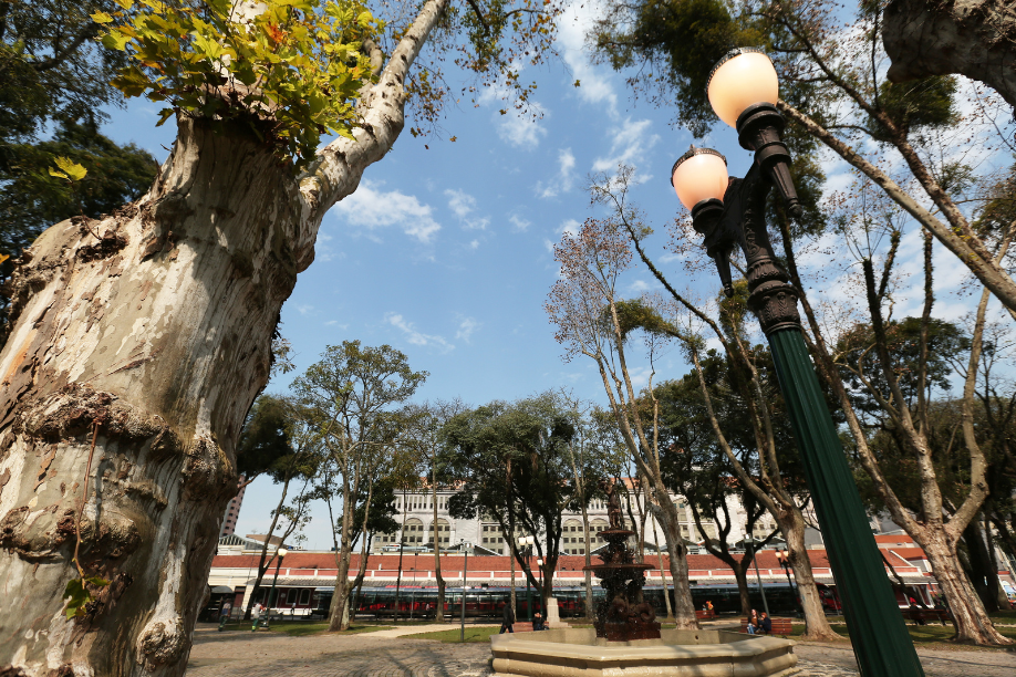 Câmara de Curitiba vota criação de mapa online de praças e ruas para adoção