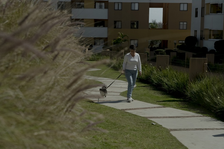 Câmara de Curitiba vota inclusão do bem-estar na Política de Proteção Animal