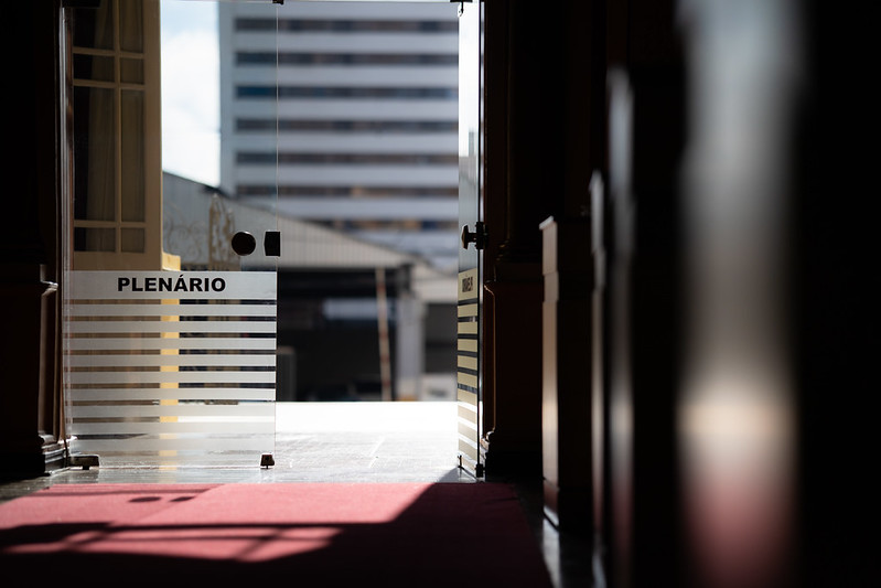 Câmara de Curitiba vota projeto para segurança de animais domésticos