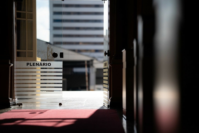 Câmara de Curitiba vota projeto para segurança de animais domésticos