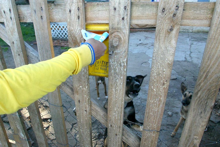 Câmara debate segurança de trabalhadores e direitos dos animais