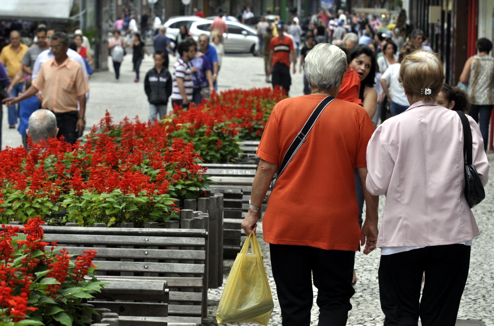 Câmara discute criação de programa para acolhimento de idosos em Curitiba