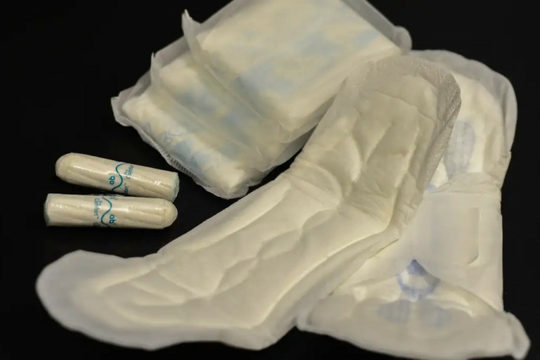 Câmara discute licença menstrual para servidoras com sintomas graves