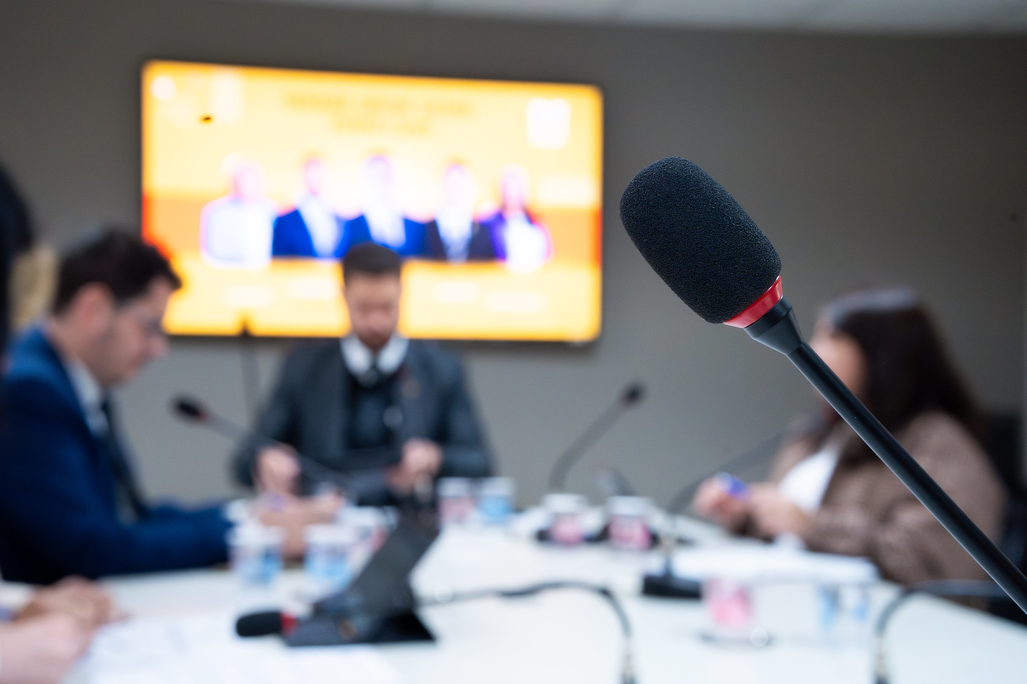 Câmara já pode votar Cidadania ao "príncipe Bertrand"