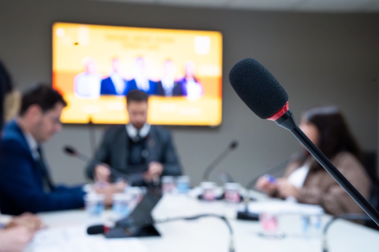 Câmara já pode votar Cidadania ao "príncipe Bertrand"