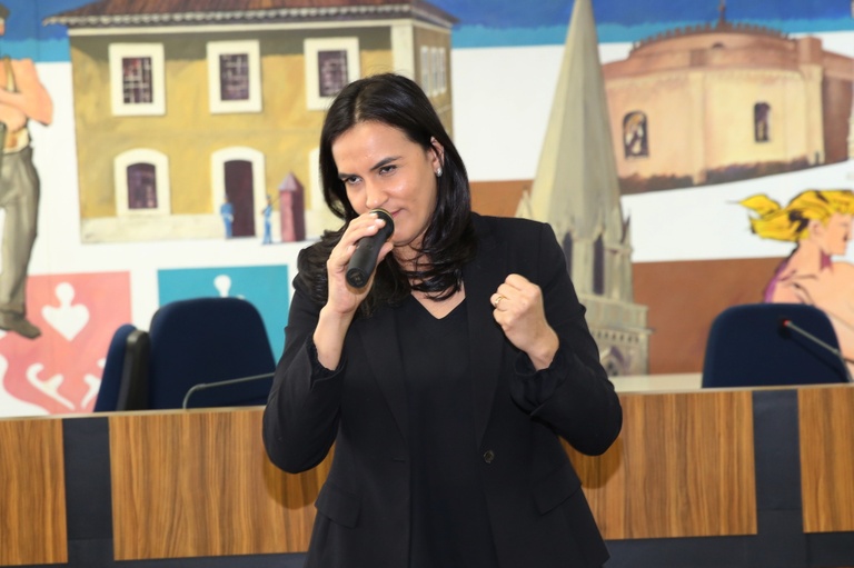 Câmara promove seminário para debater violência contra a mulher