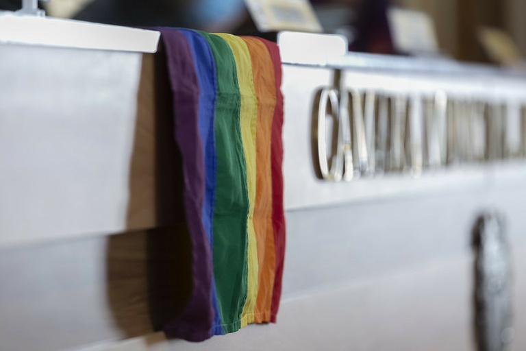 Câmara vota a criação do Conselho da Diversidade Sexual