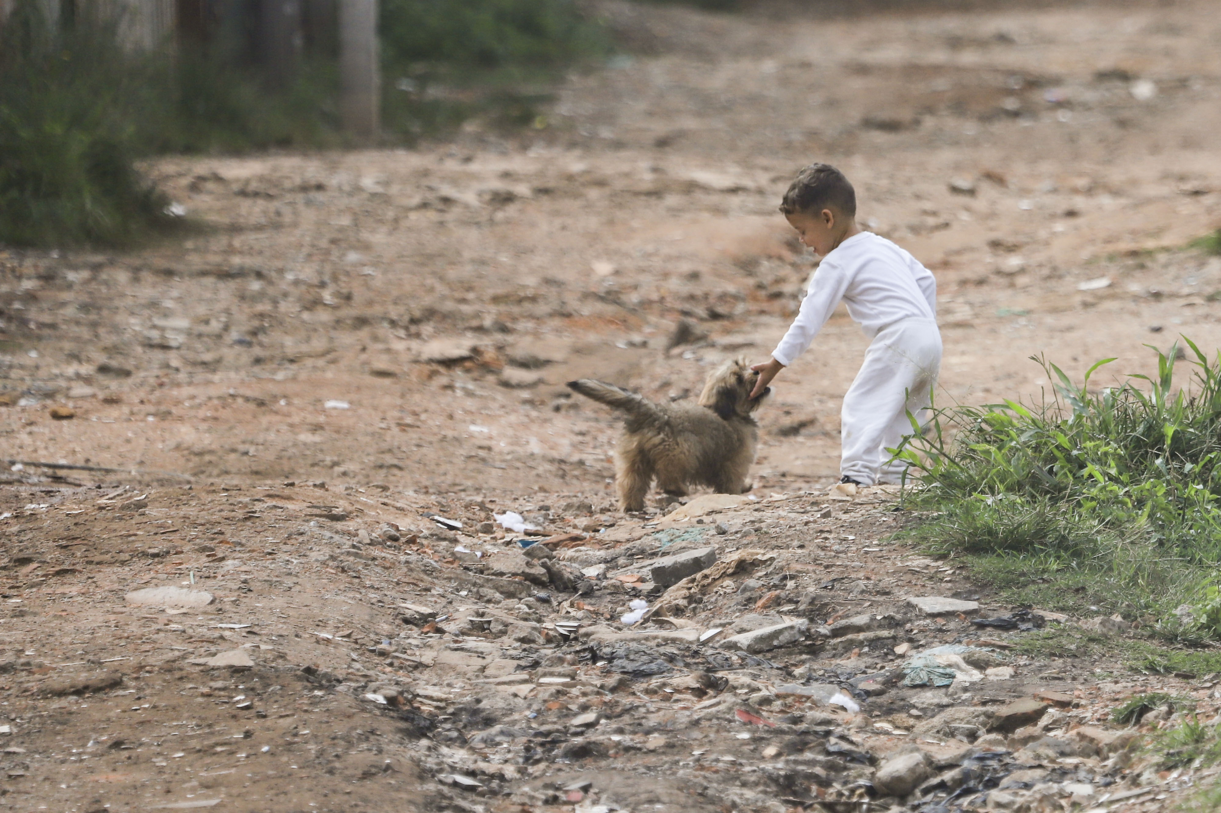 Campanha "Eu Freio para Animais" será em maio em Curitiba